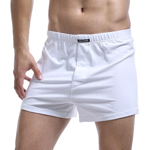 Men’s Solid Color Underpants 2 pcs Set